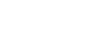 PP ACCU-DAN logo